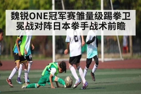 魏锐ONE冠军赛雏量级踢拳卫冕战对阵日本拳手战术前瞻 - KaiyunEsports